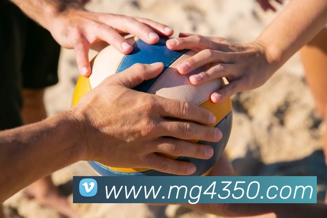 App Interface Preview